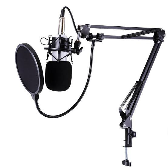 BM 800 Professional Condenser Microphone